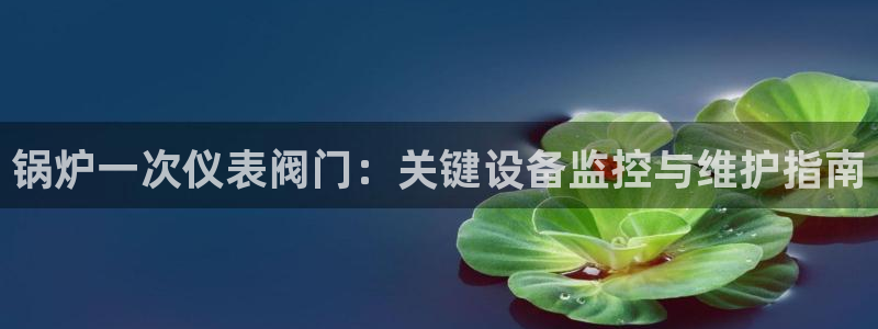 新宝gg介绍
