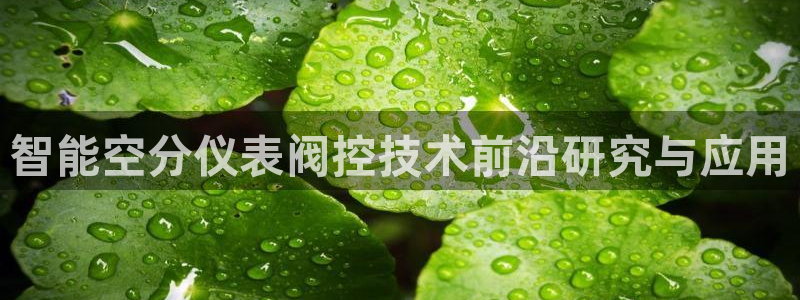 新宝gg主