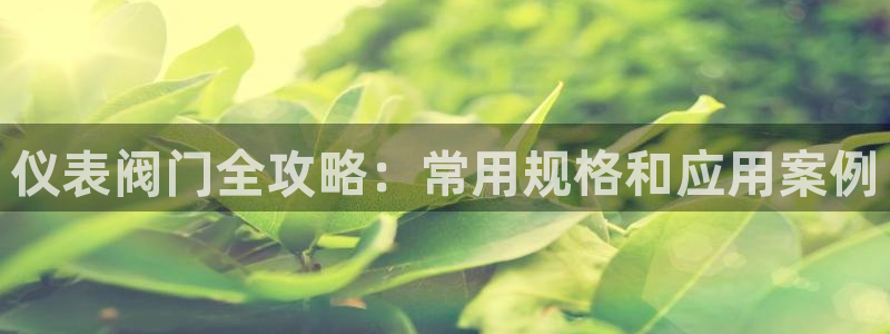 新宝gg龙腾