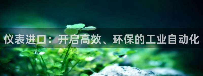 新宝gg 主管