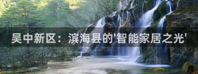gg新宝gg