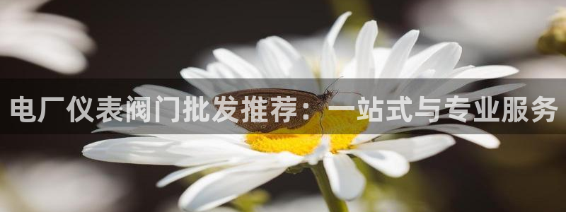 新宝gg开号