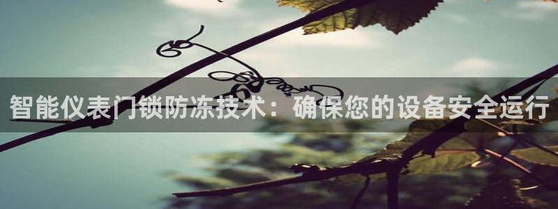 新宝gg 内部 8
