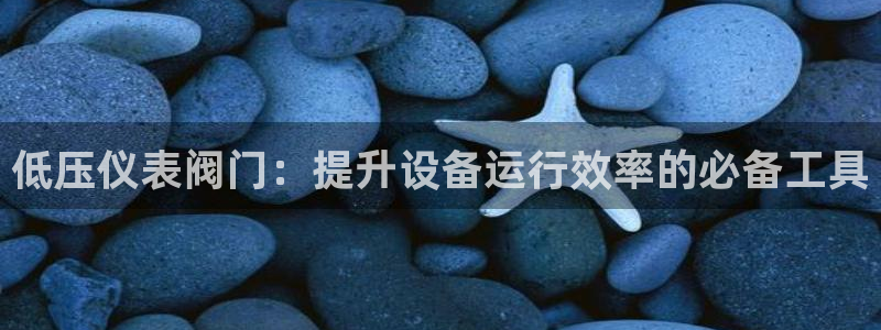 新宝gg 首页