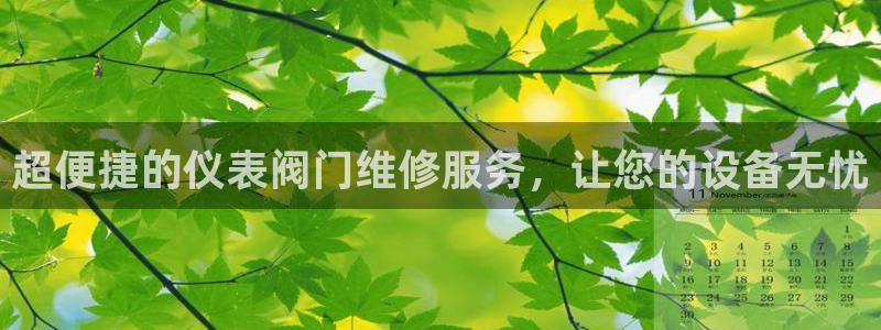 新宝GG股东