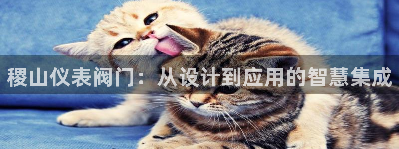 新宝gg 创造奇迹