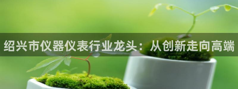 新宝gg 主管