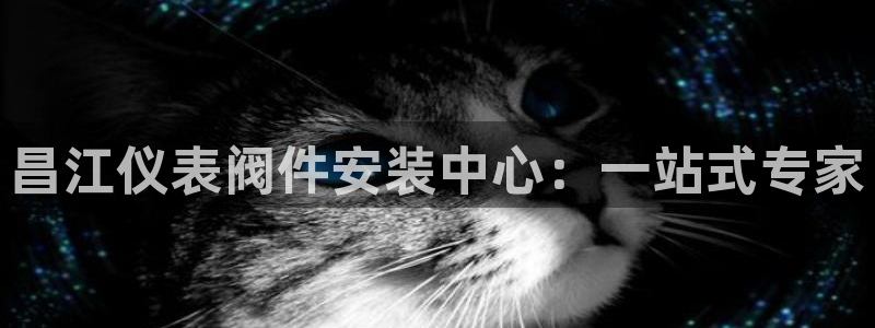 新宝gg娱乐vovq