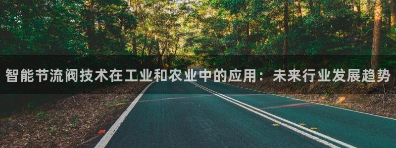 重庆新宝gg