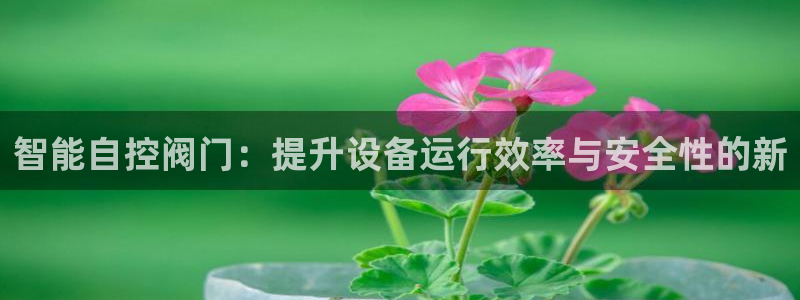 新宝gg平台开发