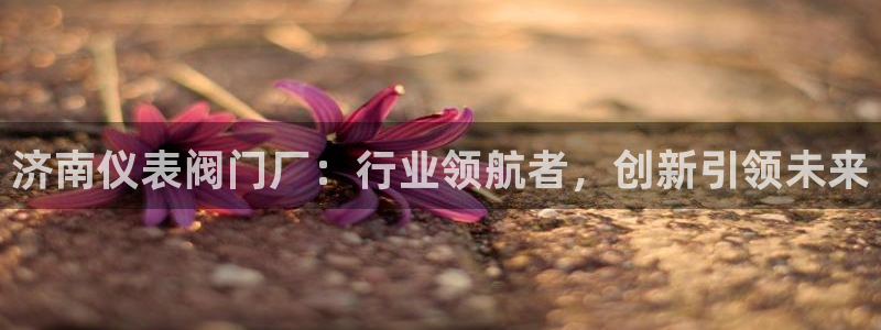 新宝GG于六七五一38