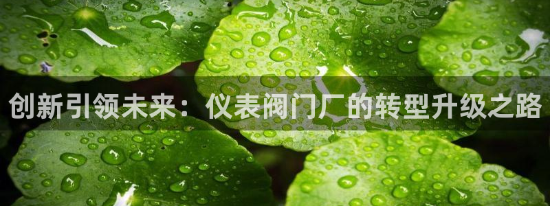 新宝gg挣钱