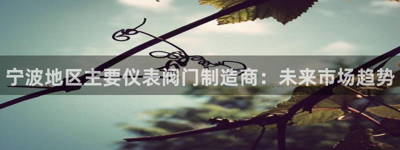 新宝gg   创造