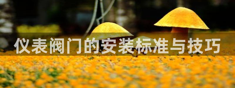 新宝gg奖金