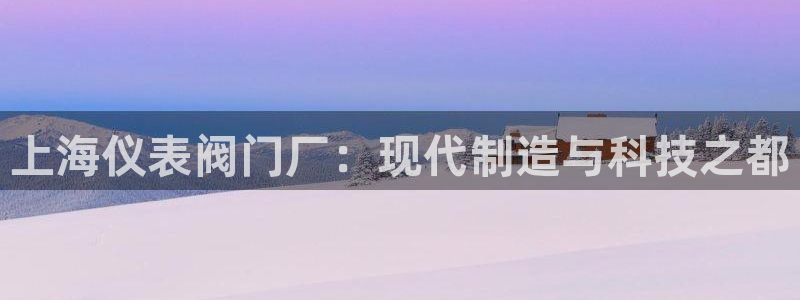 新宝GG湫33 300