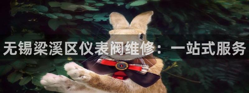 新宝GG无法充值