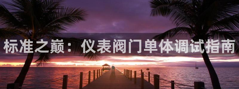 新宝gg 内部 8