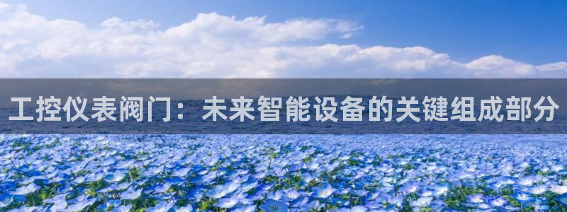新宝gg指定平台