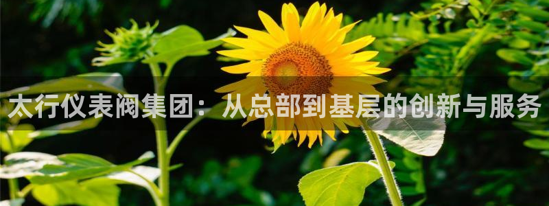 新宝gg挂机app