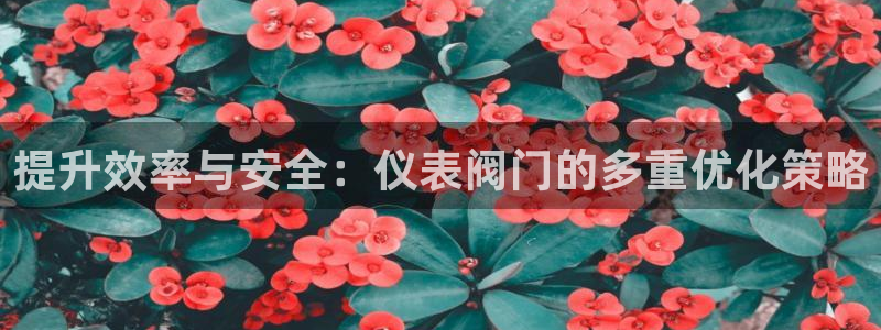 新宝gg申请账号