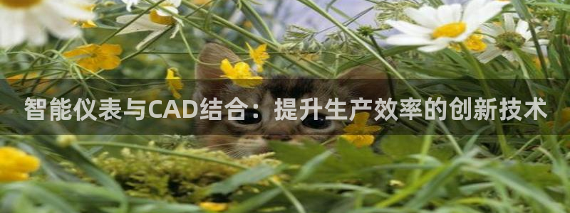 新宝GG娱乐下载