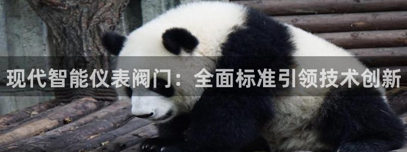 新宝gg登陆平台