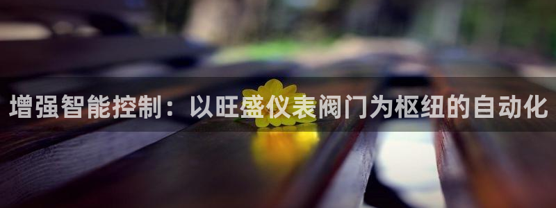xbgg新宝gg