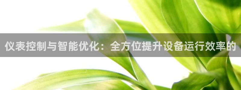 新宝gg 502