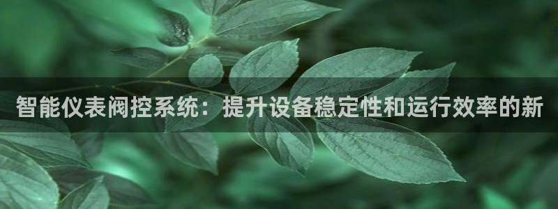 新宝gg软件下载