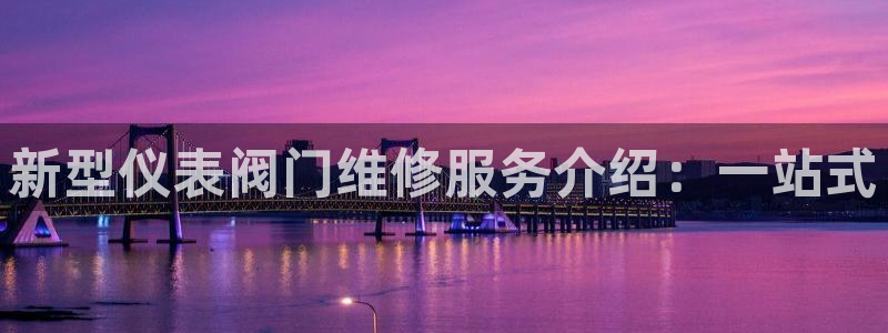 新宝GG无法充值