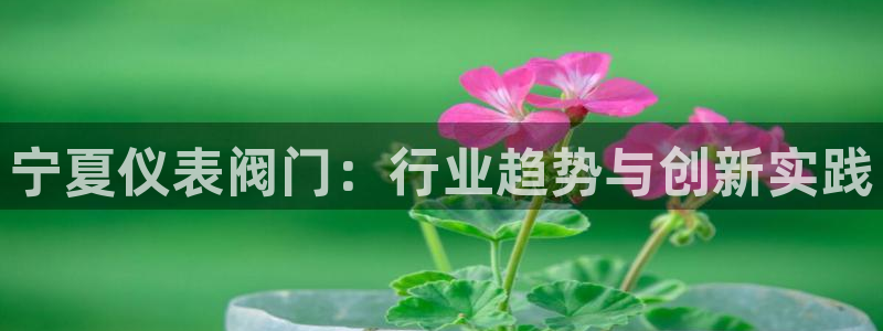 新宝gg官方