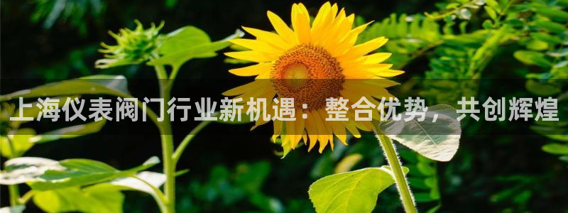 新宝gg登陆平台