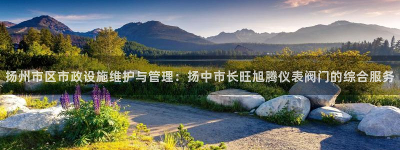 新宝gg注册q 26880