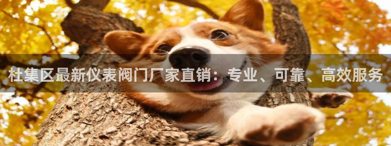 新宝gg