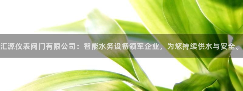 新宝GG 扣.772332