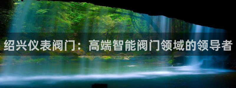 新宝gg ios下载