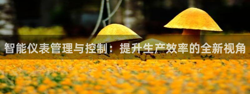 新宝gg类似