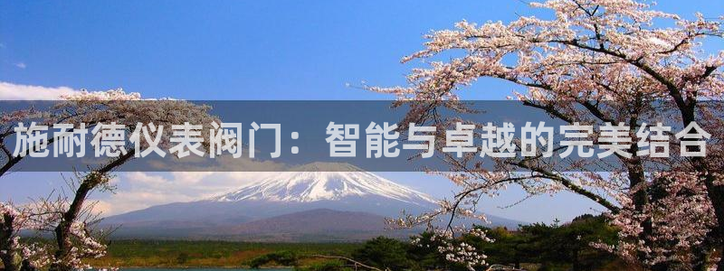 新宝 gg 登